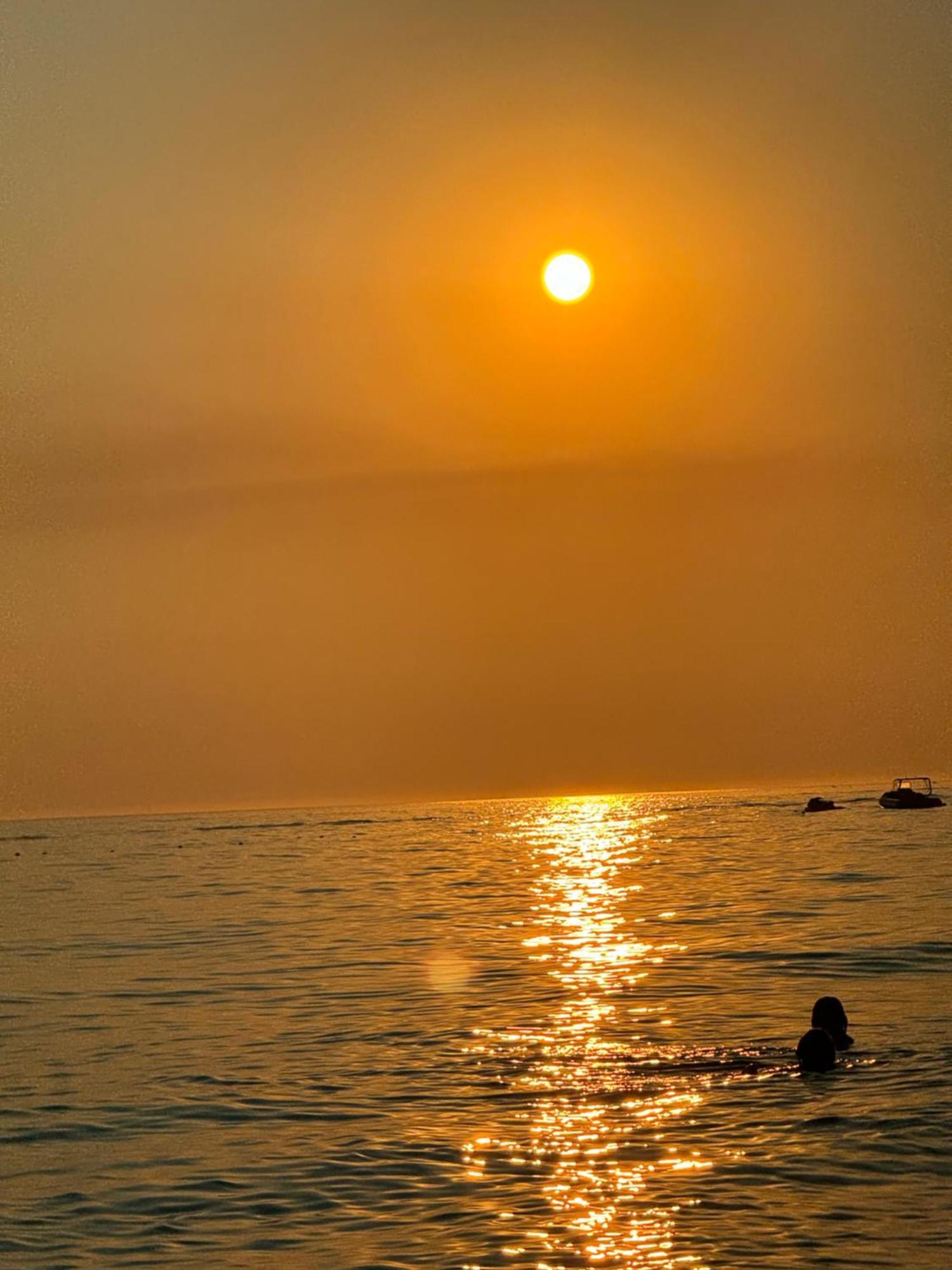 Sole Sole